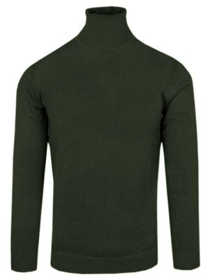 Sweter męski na zimę casualowy Colosseo ze sklepu: JegoSzafa.pl w kategorii: Swetry męskie - zdjęcie D87F7971-8A8-365_SWALTCLSOgolfziel