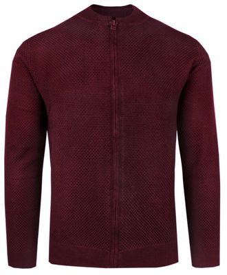 Sweter męski casual na zimę Alties ze sklepu: JegoSzafa.pl w kategorii: Swetry męskie - zdjęcie D87F7971-8A8-365_SWALTM03zambordowy