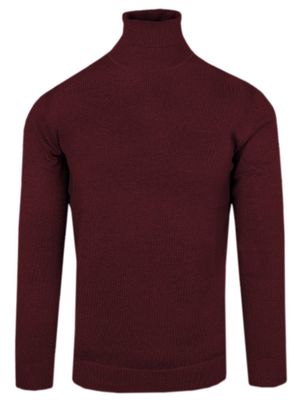 Sweter męski na zimę Alties ze sklepu: JegoSzafa.pl w kategorii: Swetry męskie - zdjęcie D87F7971-8A8-365_SWALTM04golfbordo