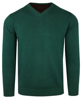 Sweter męski na zimę Alties ze sklepu: JegoSzafa.pl w kategorii: Swetry męskie - zdjęcie D87F7971-8A8-365_SWALTM05zielenV