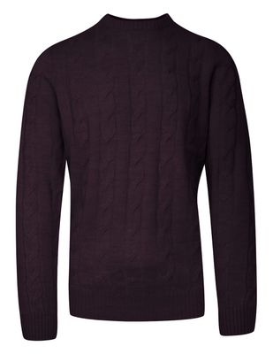 Sweter męski BRAVE SOUL ze sklepu: JegoSzafa.pl w kategorii: Swetry męskie - zdjęcie D87F7971-8A8-365_SWBRSAW21MAOoxblood