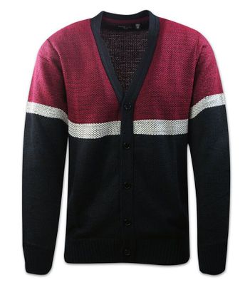 Sweter męski młodzieżowy BRAVE SOUL ze sklepu: JegoSzafa.pl w kategorii: Swetry męskie - zdjęcie D87F7971-8A8-365_SWBRSAW21TENNYSONred