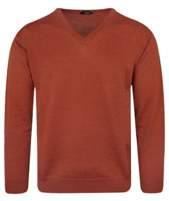 Sweter męski Max Sheldon ze sklepu: JegoSzafa.pl w kategorii: Swetry męskie - zdjęcie D87F7971-8A8-365_SWKNGS10443pomar