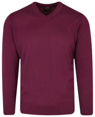 Sweter męski Trikko ze sklepu: JegoSzafa.pl w kategorii: Swetry męskie - zdjęcie D87F7971-8A8-365_SWKOWtrikko501Vgulkurusu