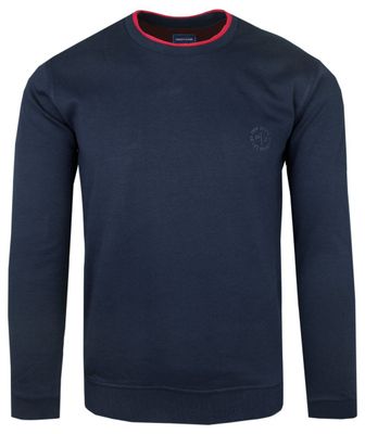 Pako Jeans - Bluza męska jesienna ze sklepu: JegoSzafa.pl w kategorii: Bluzy męskie - zdjęcie D87F7971-8A8-365_SWPJNSBLUZAikonGR
