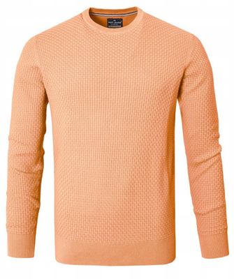 Sweter męski casual Pako Jeans ze sklepu: JegoSzafa.pl w kategorii: Swetry męskie - zdjęcie D87F7971-8A8-365_SWPJNSloopEC