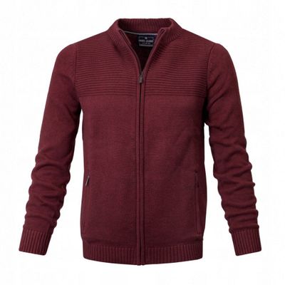 Sweter męski casual Pako Jeans ze sklepu: JegoSzafa.pl w kategorii: Swetry męskie
