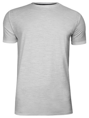T-shirt męski casualowy BRAVE SOUL ze sklepu: JegoSzafa.pl w kategorii: T-shirty męskie - zdjęcie D87F7971-8A8-365_TSBRSSS20GRAILecruemarl