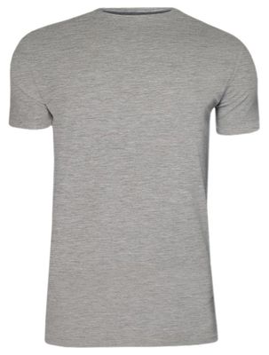 T-shirt męski na lato BRAVE SOUL ze sklepu: JegoSzafa.pl w kategorii: T-shirty męskie - zdjęcie D87F7971-8A8-365_TSBRSSS21GRAILltgrey