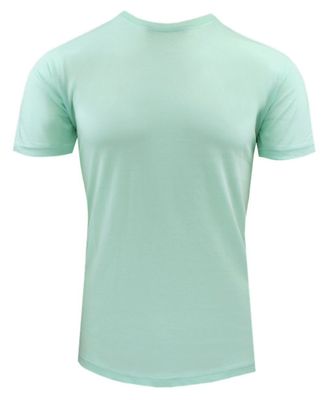 T-shirt męski na lato BRAVE SOUL ze sklepu: JegoSzafa.pl w kategorii: T-shirty męskie - zdjęcie D87F7971-8A8-365_TSBRSSS25GRAILpalemint
