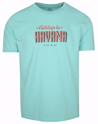 T-shirt męski Pioneer ze sklepu: JegoSzafa.pl w kategorii: T-shirty męskie - zdjęcie D87F7971-8A8-365_TSKOWpion60016col6019