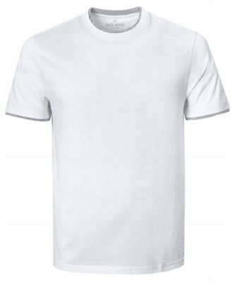 T-shirt męski na wiosnę Pako Jeans ze sklepu: JegoSzafa.pl w kategorii: T-shirty męskie - zdjęcie D87F7971-8A8-365_TSPJNSFINLEYbi
