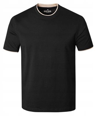 T-shirt męski Pako Jeans ze sklepu: JegoSzafa.pl w kategorii: T-shirty męskie - zdjęcie D87F7971-8A8-365_TSPJNSfinleyCZ
