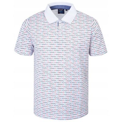 T-shirt męski na wiosnę Pako Jeans ze sklepu: JegoSzafa.pl w kategorii: T-shirty męskie - zdjęcie D87F7971-8A8-365_TSPJNSpoloAMERICUMbi