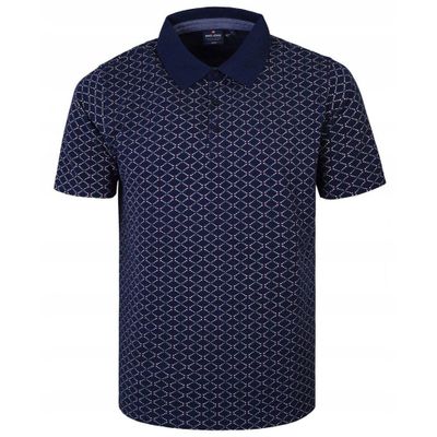 T-shirt męski na wiosnę Pako Jeans ze sklepu: JegoSzafa.pl w kategorii: T-shirty męskie - zdjęcie D87F7971-8A8-365_TSPJNSpoloARSENIKgr