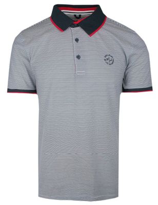 T-shirt męski na wiosnę casualowy Pako Jeans ze sklepu: JegoSzafa.pl w kategorii: T-shirty męskie - zdjęcie D87F7971-8A8-365_TSPJNSpoloKODIAQUEgr