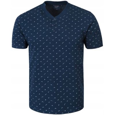 T-shirt męski młodzieżowy Pako Jeans ze sklepu: JegoSzafa.pl w kategorii: T-shirty męskie - zdjęcie D87F7971-8A8-365_TSPJNStinoGR