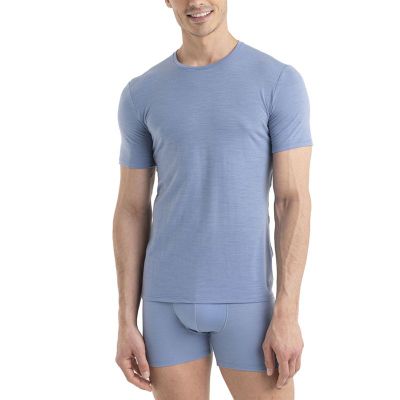 T-shirt męski na wiosnę Icebreaker ze sklepu: streetstyle24.pl w kategorii: T-shirty męskie - zdjęcie E12E2BE-C1C-9438_3234205
