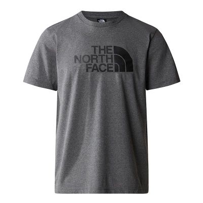 T-shirt męski na lato The North Face ze sklepu: streetstyle24.pl w kategorii: T-shirty męskie - zdjęcie E12E2BE-C1C-9438_3236815
