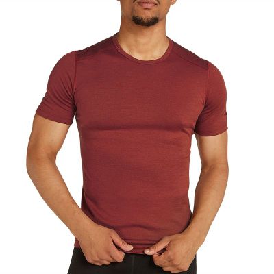 T-shirt męski na wiosnę Icebreaker ze sklepu: streetstyle24.pl w kategorii: T-shirty męskie - zdjęcie E12E2BE-C1C-9438_3237979