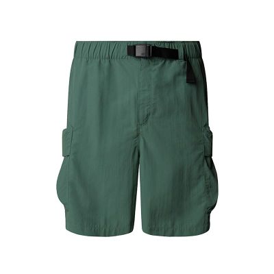 Spodenki męskie The North Face ze sklepu: streetstyle24.pl w kategorii: Spodenki męskie - zdjęcie E12E2BE-C1C-9438_3241366
