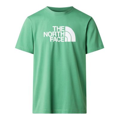 T-shirt męski w stylu młodzieżowym The North Face ze sklepu: streetstyle24.pl w kategorii: T-shirty męskie - zdjęcie E12E2BE-C1C-9438_3242770