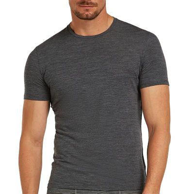 T-shirt męski wiosenny Icebreaker ze sklepu: streetstyle24.pl w kategorii: T-shirty męskie - zdjęcie E12E2BE-C1C-9438_3243343