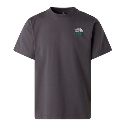 T-shirt męski sportowy na wiosnę The North Face ze sklepu: streetstyle24.pl w kategorii: T-shirty męskie - zdjęcie E12E2BE-C1C-9438_3244808