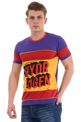 T-shirt męski na wiosnę ze sklepu: brendi.pl w kategorii: T-shirty męskie - zdjęcie F54D50D-7D8-4379_4218