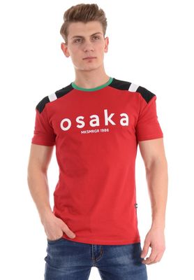 T-shirt męski na wiosnę ze sklepu: brendi.pl w kategorii: T-shirty męskie - zdjęcie F54D50D-7D8-4379_4219