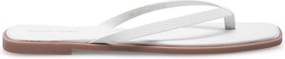 Klapki damskie letnie Jenny Fairy ze sklepu: ccc.eu w kategorii: Klapki damskie