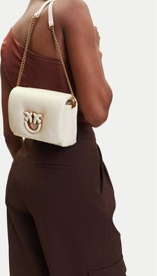 Listonoszka elegancka Pinko ze sklepu: eobuwie.pl w kategorii: Listonoszki - zdjęcie WP-EBWP-9KUZS-09B_8057769912961