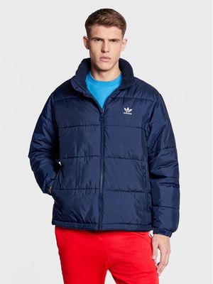 Kurtka męska na zimę adidas ze sklepu: MODIVO w kategorii: Kurtki męskie - zdjęcie WP-EBWP-BKLVO-LN0_0000300407608