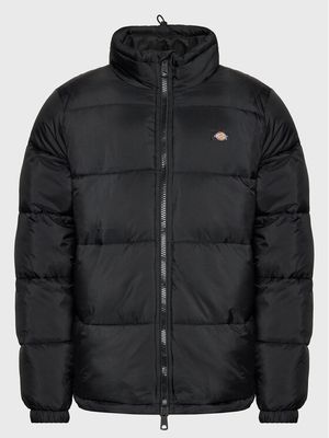 Kurtka męska casualowa Dickies ze sklepu: MODIVO w kategorii: Kurtki męskie - zdjęcie WP-EBWP-BKLVO-LN0_0000301122494