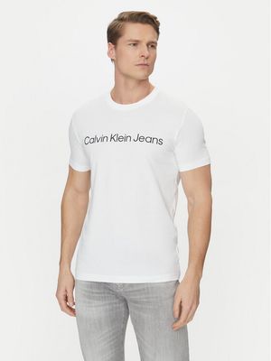 T-shirt męski wiosenny młodzieżowy Calvin Klein Jeans ze sklepu: MODIVO w kategorii: T-shirty męskie - zdjęcie WP-EBWP-BKLVO-LN0_0000301847182