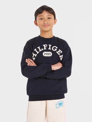 Bluza chłopięca zimowa Tommy Hilfiger ze sklepu: MODIVO w kategorii: Bluzy chłopięce - zdjęcie WP-EBWP-BKLVO-LN0_0000302809165