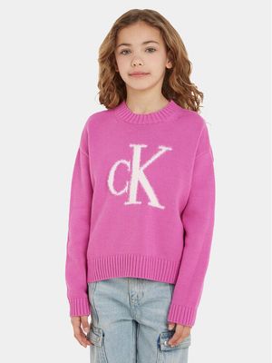 Sweter dziewczęcy jesienny wiosenny Calvin Klein Jeans ze sklepu: MODIVO w kategorii: Swetry dziewczęce - zdjęcie WP-EBWP-BKLVO-LN0_0000302818082