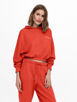 Bluza damska na jesień ONLY ze sklepu: MODIVO w kategorii: Bluzy damskie - zdjęcie WP-EBWP-BKLVO-LN0_0000302983377