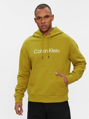 Bluza męska młodzieżowa jesienna Calvin Klein ze sklepu: MODIVO w kategorii: Bluzy męskie - zdjęcie WP-EBWP-BKLVO-LN0_0000303110406