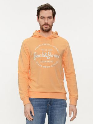Bluza męska młodzieżowa Jack & Jones ze sklepu: MODIVO w kategorii: Bluzy męskie - zdjęcie WP-EBWP-BKLVO-LN0_0000303311322