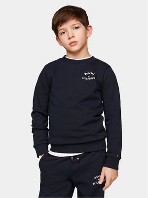 Bluza chłopięca na zimę Tommy Hilfiger ze sklepu: MODIVO w kategorii: Bluzy chłopięce - zdjęcie WP-EBWP-BKLVO-LN0_0000303421403