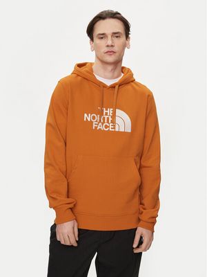 Bluza męska młodzieżowa The North Face ze sklepu: MODIVO w kategorii: Bluzy męskie - zdjęcie WP-EBWP-BKLVO-LN0_0000303800192