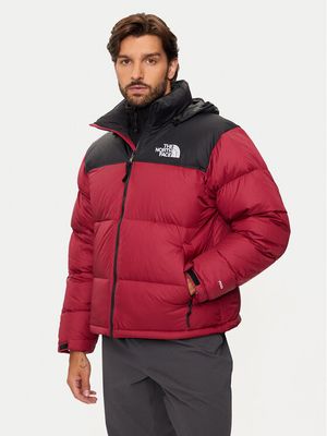 Kurtka męska The North Face ze sklepu: MODIVO w kategorii: Kurtki męskie - zdjęcie WP-EBWP-BKLVO-LN0_0000304155789