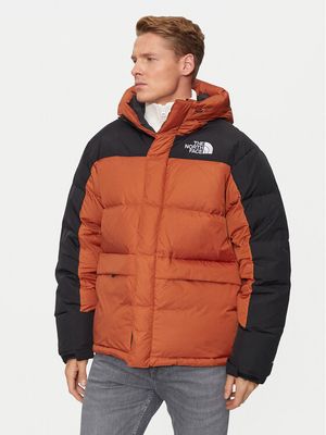 Kurtka męska na zimę The North Face ze sklepu: MODIVO w kategorii: Kurtki męskie - zdjęcie WP-EBWP-BKLVO-LN0_0000304157752