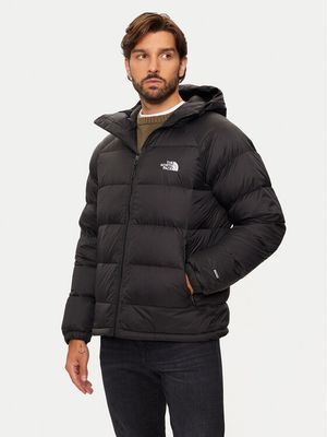 Kurtka męska na zimę The North Face ze sklepu: MODIVO w kategorii: Kurtki męskie - zdjęcie WP-EBWP-BKLVO-LN0_0000304157820