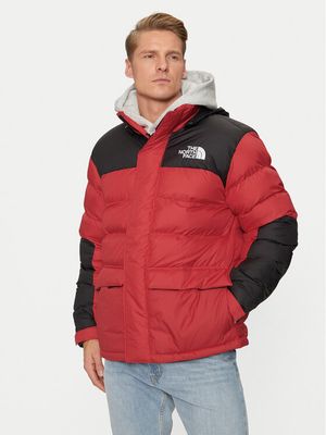 Kurtka męska na zimę The North Face ze sklepu: MODIVO w kategorii: Kurtki męskie - zdjęcie WP-EBWP-BKLVO-LN0_0000304158087