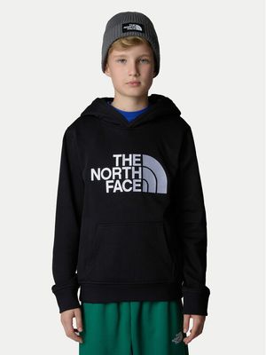 Bluza chłopięca na jesień zimowa The North Face ze sklepu: MODIVO w kategorii: Bluzy chłopięce - zdjęcie WP-EBWP-BKLVO-LN0_0000304176340