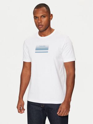 T-shirt męski Calvin Klein ze sklepu: MODIVO w kategorii: T-shirty męskie - zdjęcie WP-EBWP-BKLVO-LN0_0000304411717