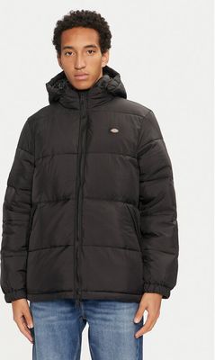 Kurtka męska Dickies ze sklepu: MODIVO w kategorii: Kurtki męskie - zdjęcie WP-EBWP-BKLVO-LN0_0000304439858