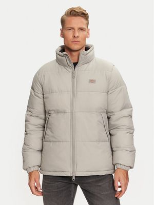 Dickies - Kurtka męska na jesień ze sklepu: MODIVO w kategorii: Kurtki męskie - zdjęcie WP-EBWP-BKLVO-LN0_0000304439926